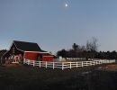 fairfieled alpaca farm abrahamson